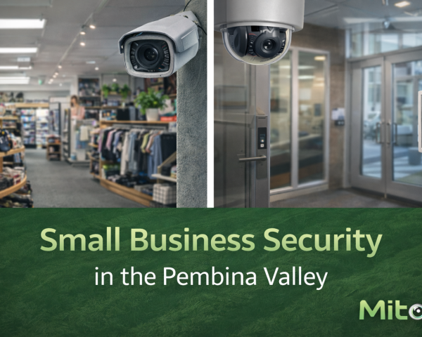 Security Solutions for Small Businesses in the Pembina Valley